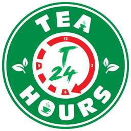 t24 icon