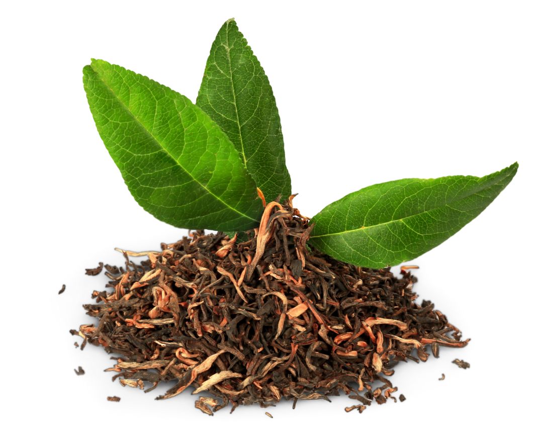 varieties if tea leafs